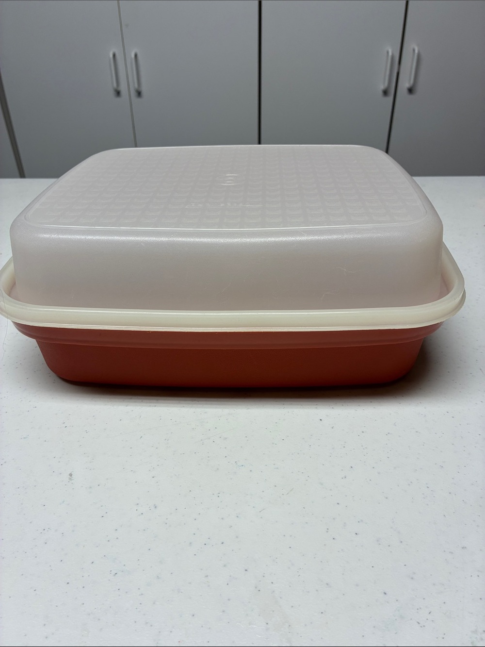 Tupperware Season-Serve Marinating Container with Lid.